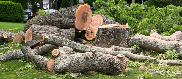 Mulching Services in Tyhee, ID